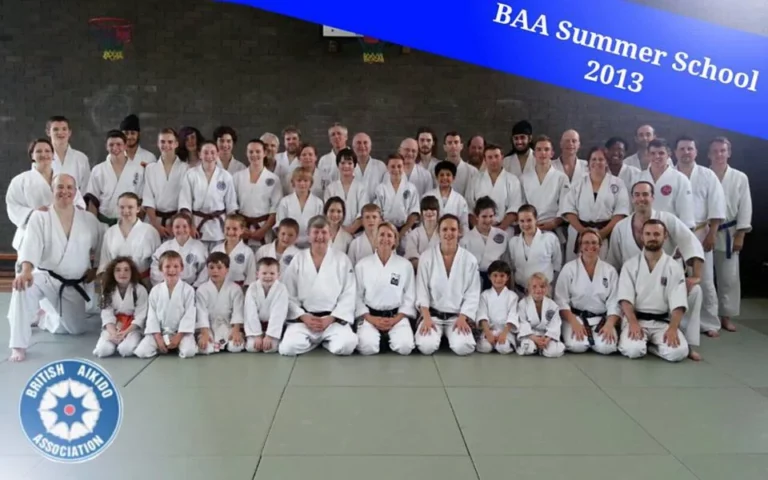 2013 BAA Summer School